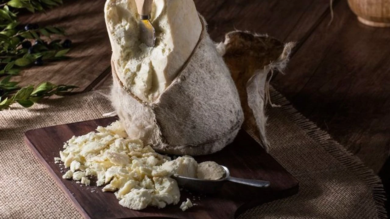 ERZİNCAN TULUM PEYNİRİ