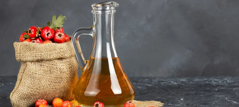 ALIÇ SİRKESİ