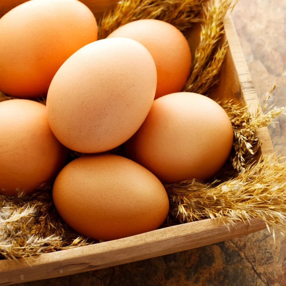 TİNTİN KÖY YUMURTASI