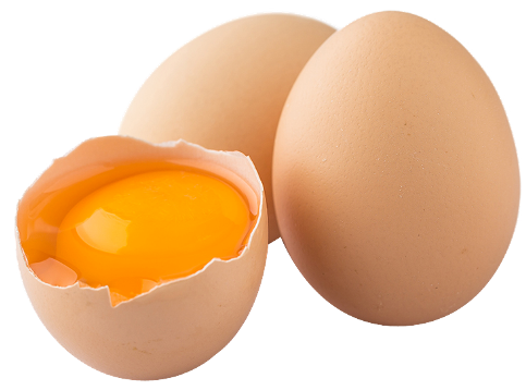 GEZEN TAVUK YUMURTASI